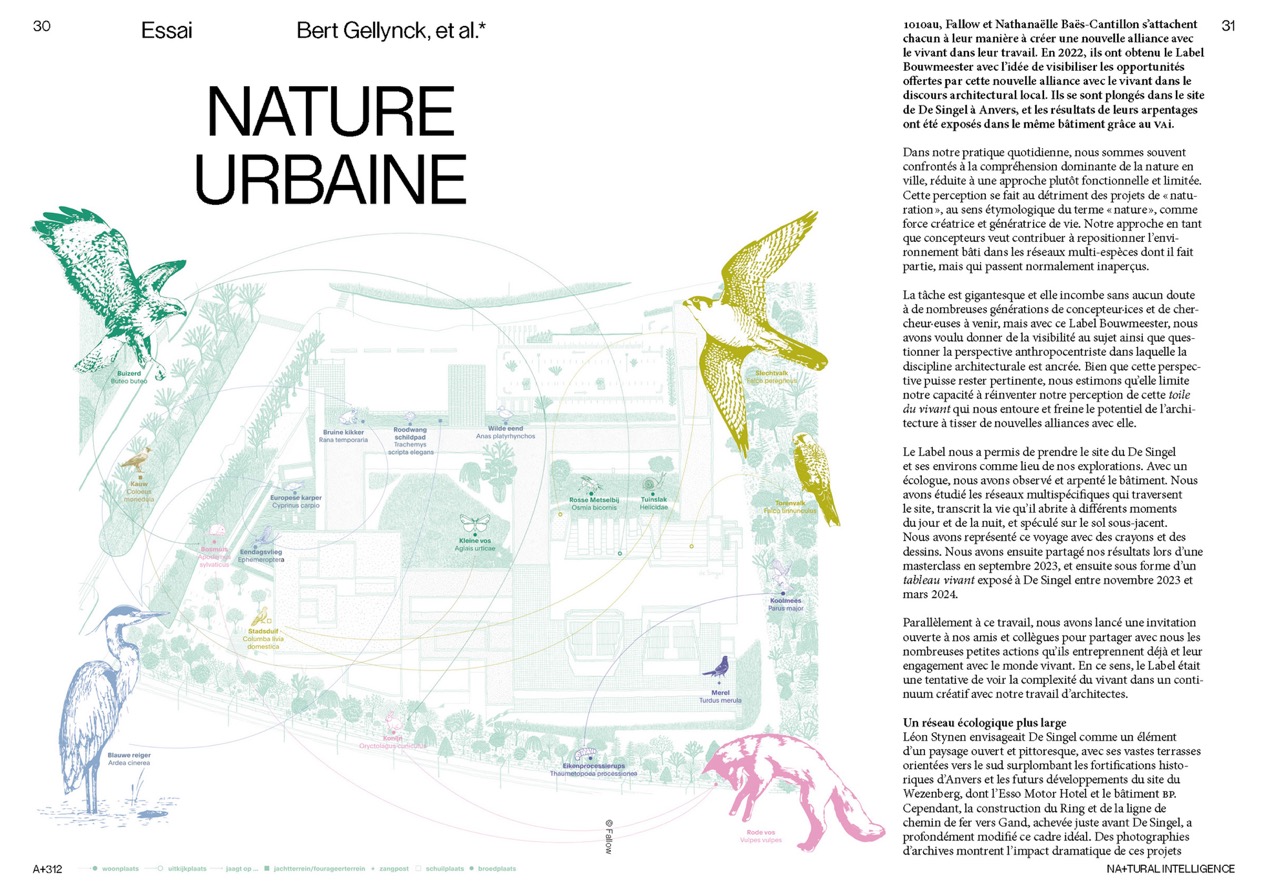 312_Spread-flat 5-FR Large